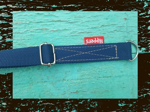 Riemkoord blauw volwassen